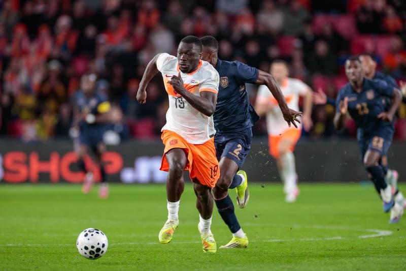 Football. Friendly Match. Netherlands - Ecuador. 31.03.2026
