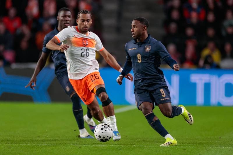 Football. Friendly Match. Netherlands - Ecuador. 31.03.2026