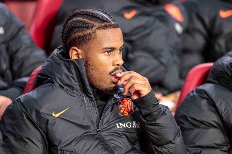 Football. Friendly Match. Netherlands - Ecuador. 31.03.2026