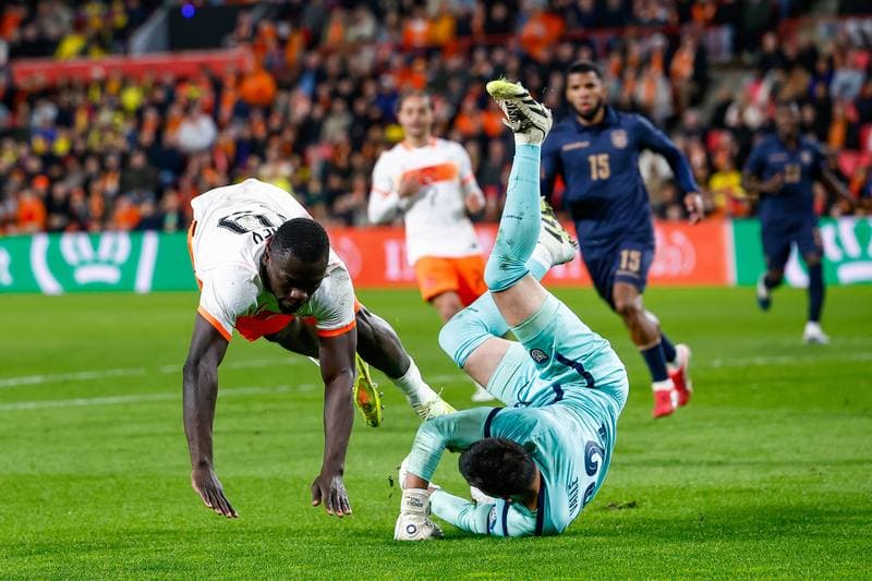 Football. Friendly Match. Netherlands - Ecuador. 31.03.2026