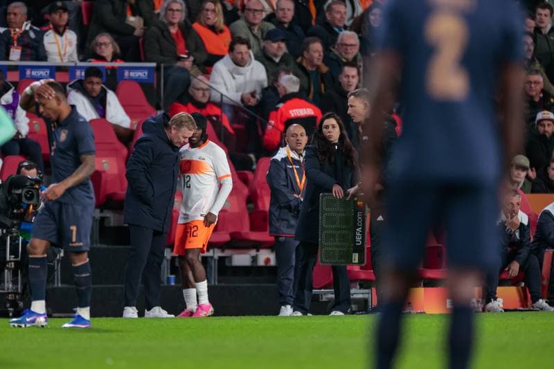 Football. Friendly Match. Netherlands - Ecuador. 31.03.2026