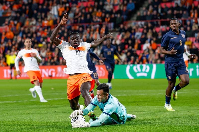 Football. Friendly Match. Netherlands - Ecuador. 31.03.2026
