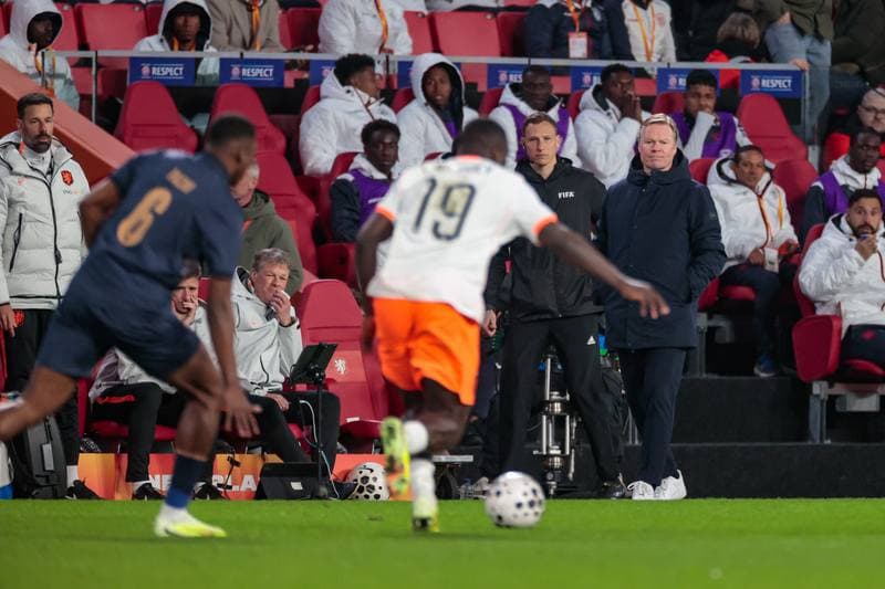 Football. Friendly Match. Netherlands - Ecuador. 31.03.2026