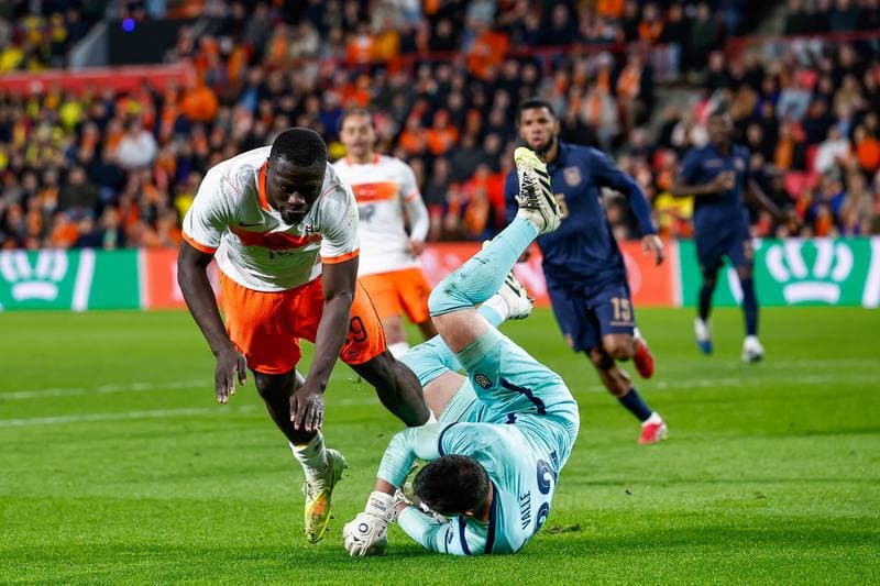Football. Friendly Match. Netherlands - Ecuador. 31.03.2026