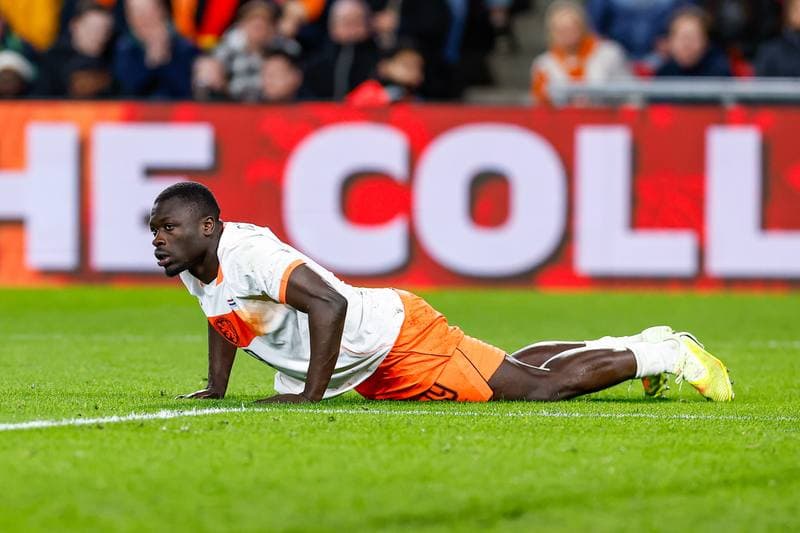 Football. Friendly Match. Netherlands - Ecuador. 31.03.2026