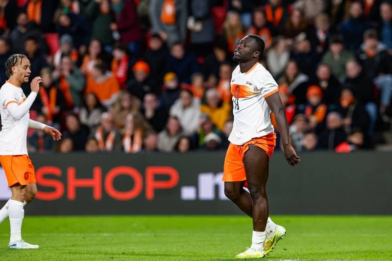 Football. Friendly Match. Netherlands - Ecuador. 31.03.2026