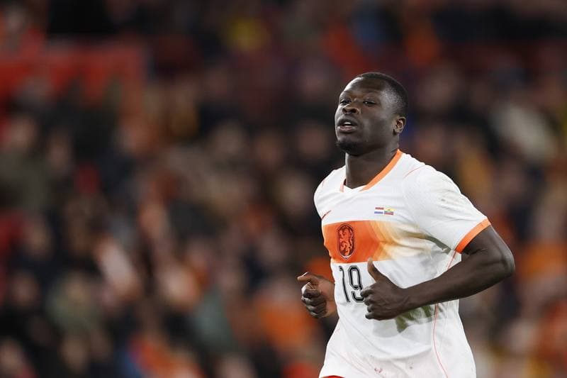 Football. International Friendly. Netherlands - Ecuador. 31.03.2026