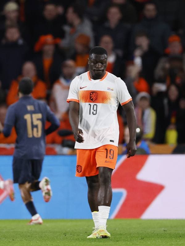 Football. International Friendly. Netherlands - Ecuador. 31.03.2026