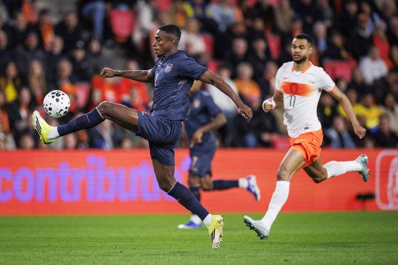 Football. International Friendly. Netherlands - Ecuador. 31.03.2026