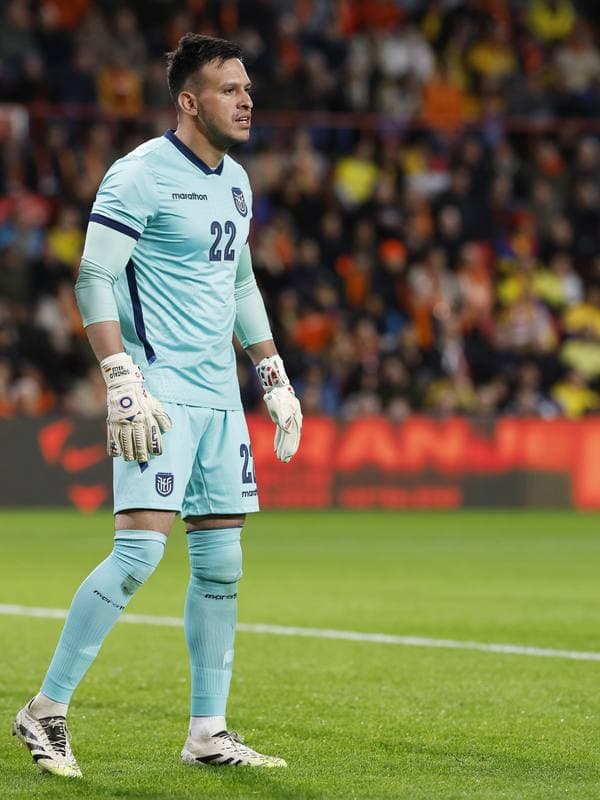 Football. International Friendly. Netherlands - Ecuador. 31.03.2026