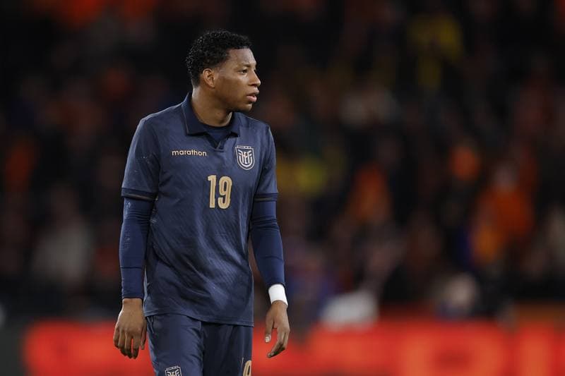 Football. International Friendly. Netherlands - Ecuador. 31.03.2026