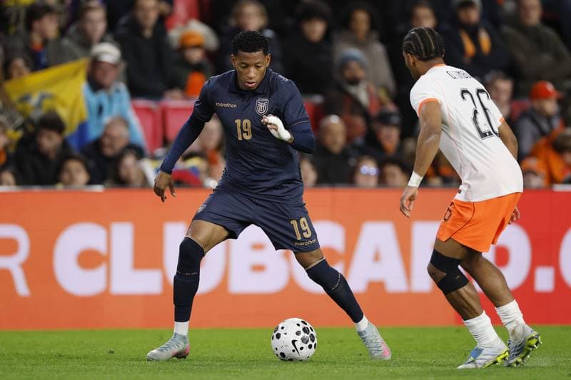 Football. International Friendly. Netherlands - Ecuador. 31.03.2026