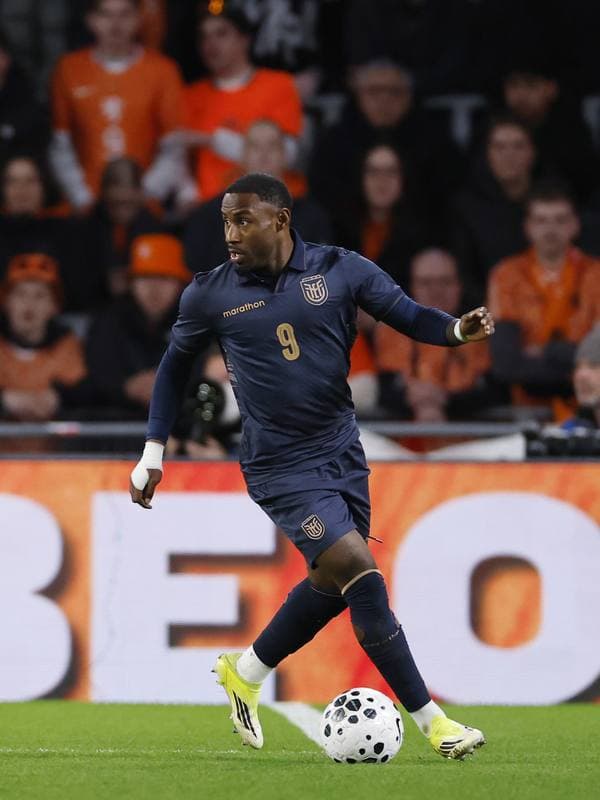 Football. International Friendly. Netherlands - Ecuador. 31.03.2026