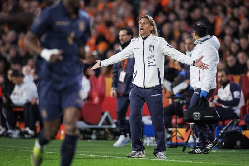 Football. International Friendly. Netherlands - Ecuador. 31.03.2026