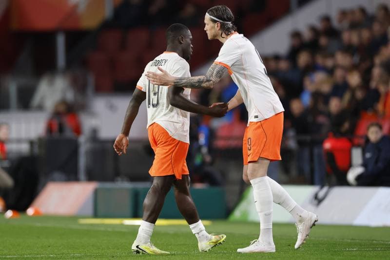 Football. International Friendly. Netherlands - Ecuador. 31.03.2026