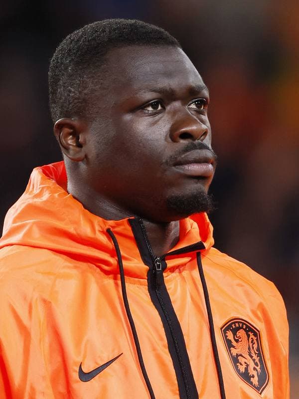 Football. International Friendly. Netherlands - Ecuador. 31.03.2026