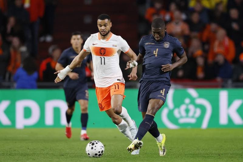 Football. International Friendly. Netherlands - Ecuador. 31.03.2026