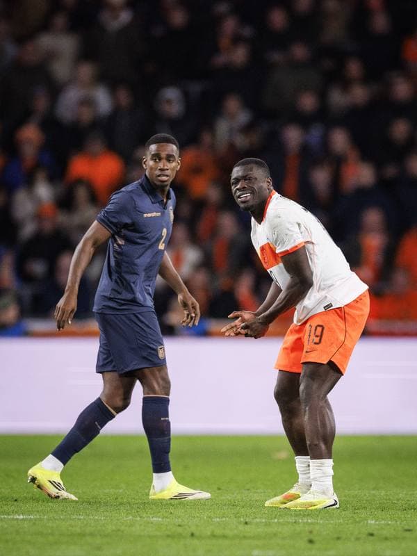Football. International Friendly. Netherlands - Ecuador. 31.03.2026