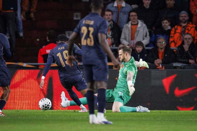Football. International Friendly. Netherlands - Ecuador. 31.03.2026