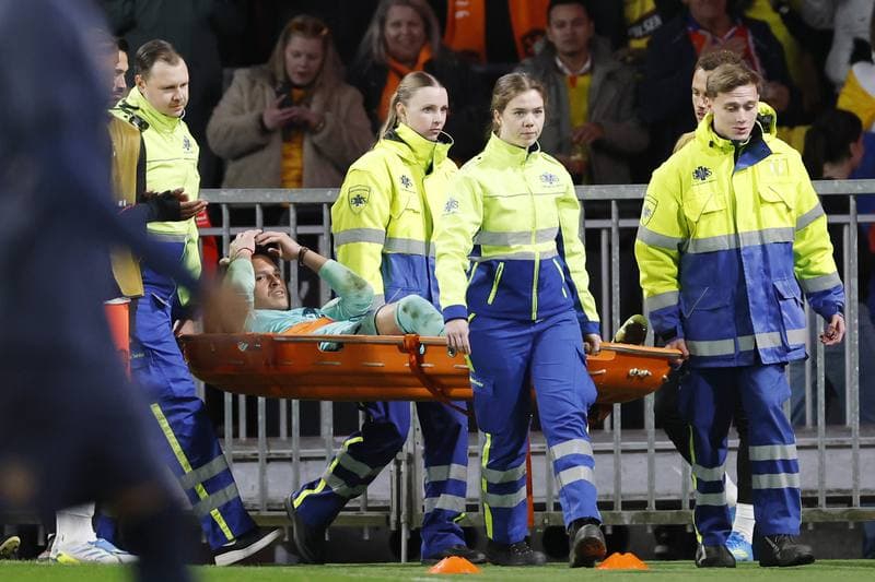 Football. International Friendly. Netherlands - Ecuador. 31.03.2026