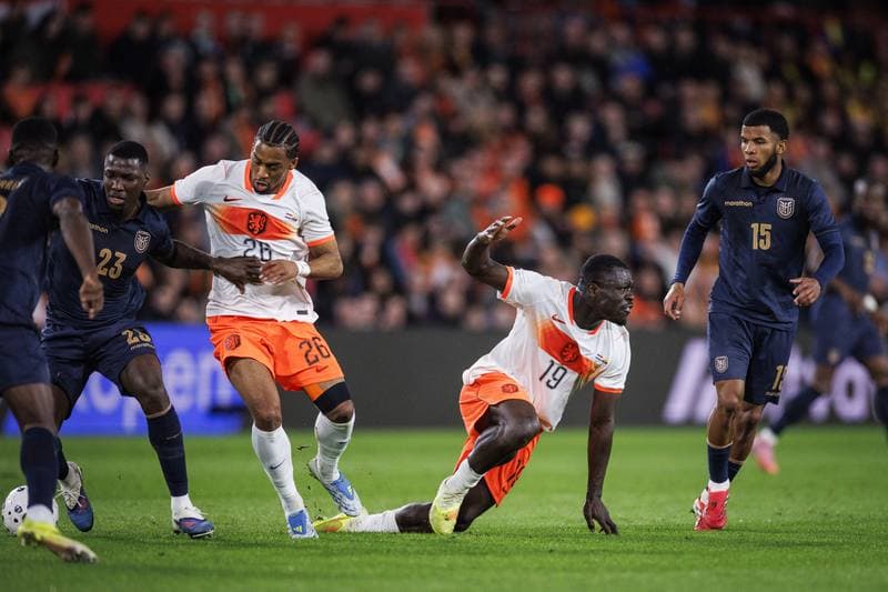 Football. International Friendly. Netherlands - Ecuador. 31.03.2026