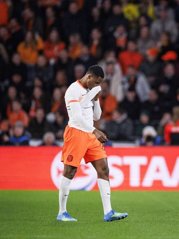Football. International Friendly. Netherlands - Ecuador. 31.03.2026