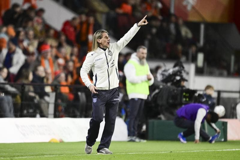 Football. International Friendly. Netherlands - Ecuador. 31.03.2026