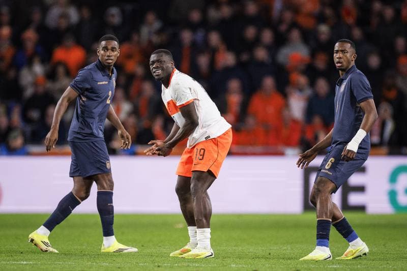 Football. International Friendly. Netherlands - Ecuador. 31.03.2026