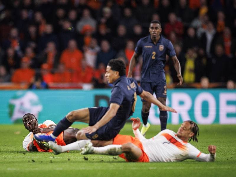 Football. International Friendly. Netherlands - Ecuador. 31.03.2026