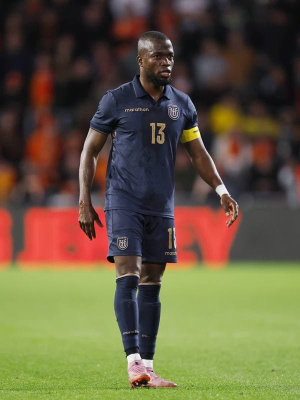 Football. International Friendly. Netherlands - Ecuador. 31.03.2026