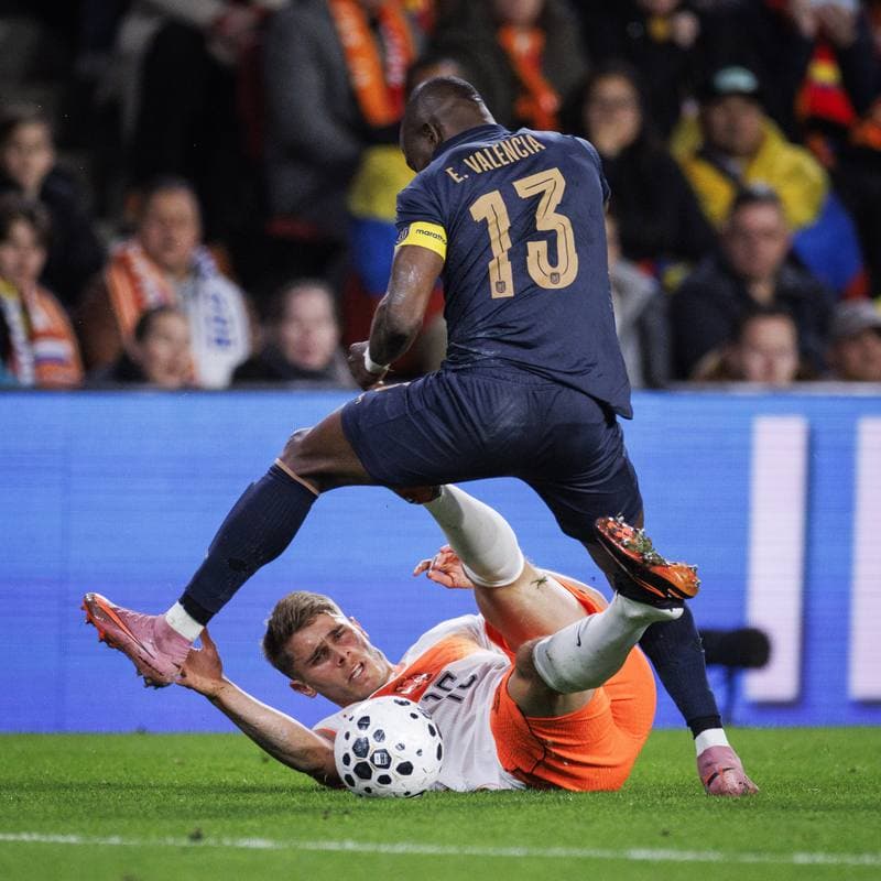 Football. International Friendly. Netherlands - Ecuador. 31.03.2026