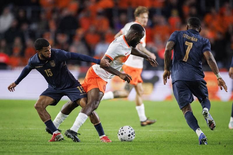 Football. International Friendly. Netherlands - Ecuador. 31.03.2026