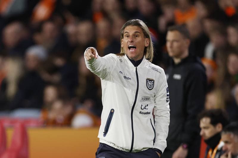 Football. International Friendly. Netherlands - Ecuador. 31.03.2026