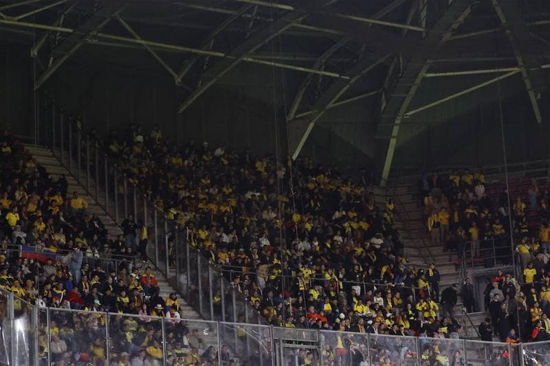 Football. International Friendly. Netherlands - Ecuador. 31.03.2026