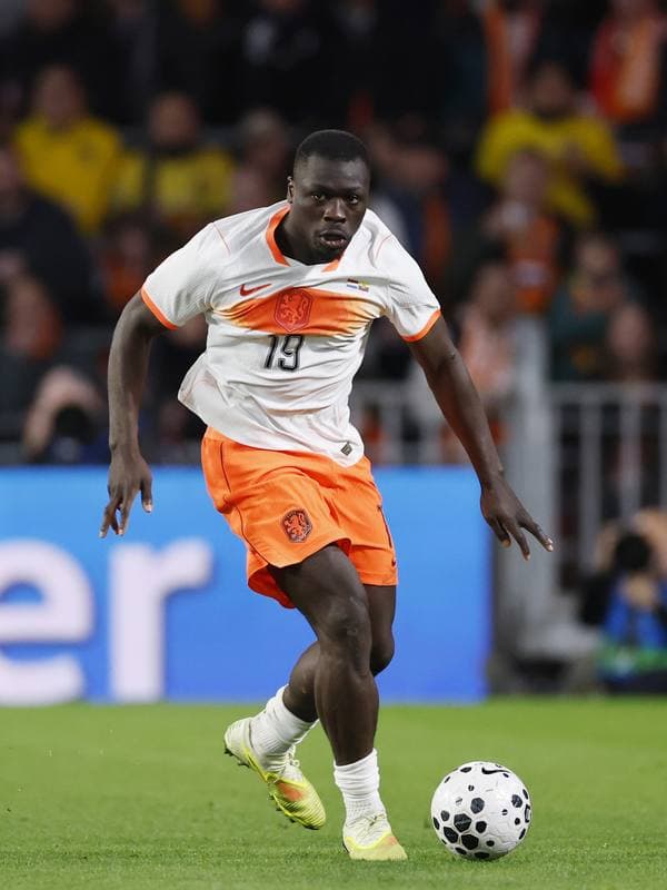 Football. International Friendly. Netherlands - Ecuador. 31.03.2026