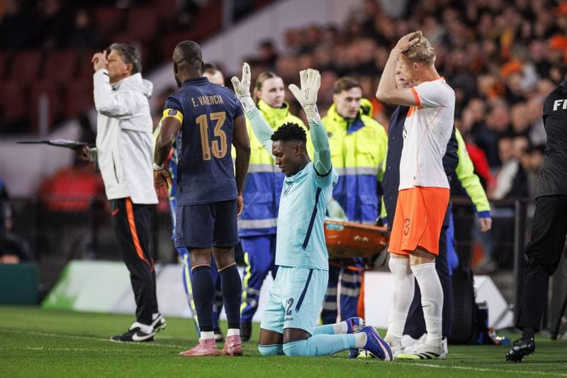 Football. International Friendly. Netherlands - Ecuador. 31.03.2026