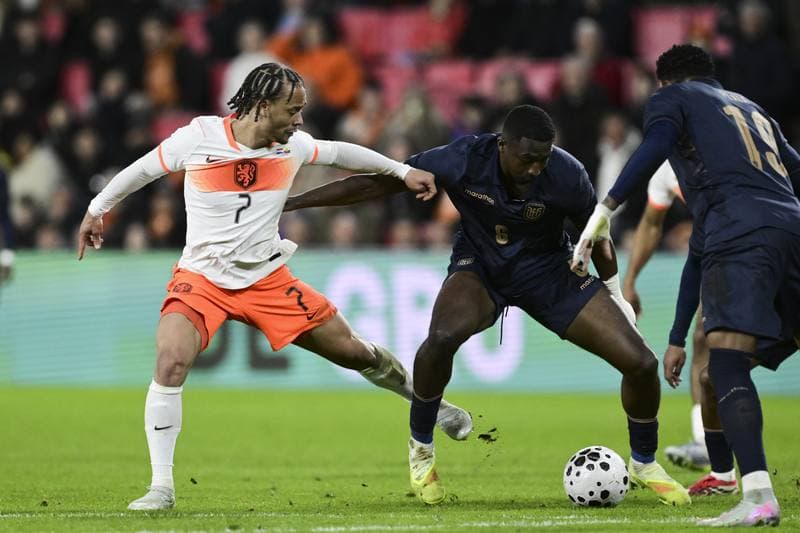 Football. International Friendly. Netherlands - Ecuador. 31.03.2026