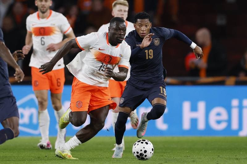 Football. International Friendly. Netherlands - Ecuador. 31.03.2026