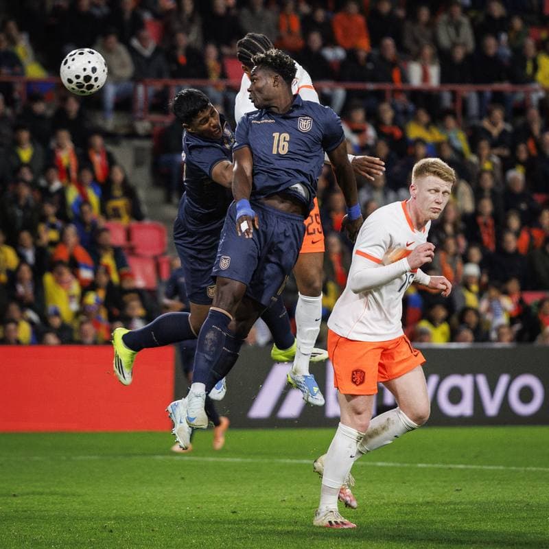 Football. International Friendly. Netherlands - Ecuador. 31.03.2026