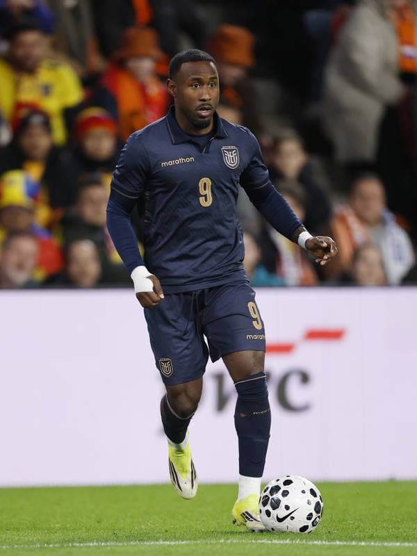 Football. International Friendly. Netherlands - Ecuador. 31.03.2026