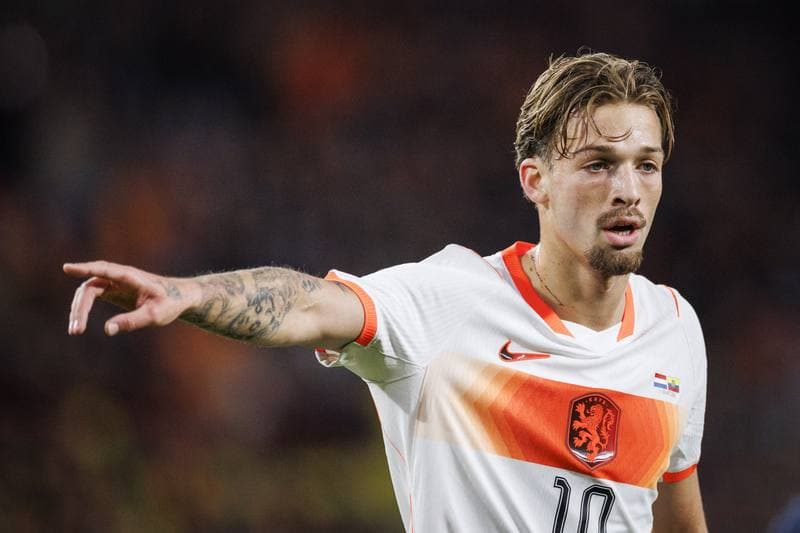 Football. International Friendly. Netherlands - Ecuador. 31.03.2026