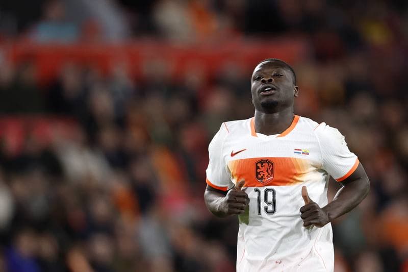 Football. International Friendly. Netherlands - Ecuador. 31.03.2026