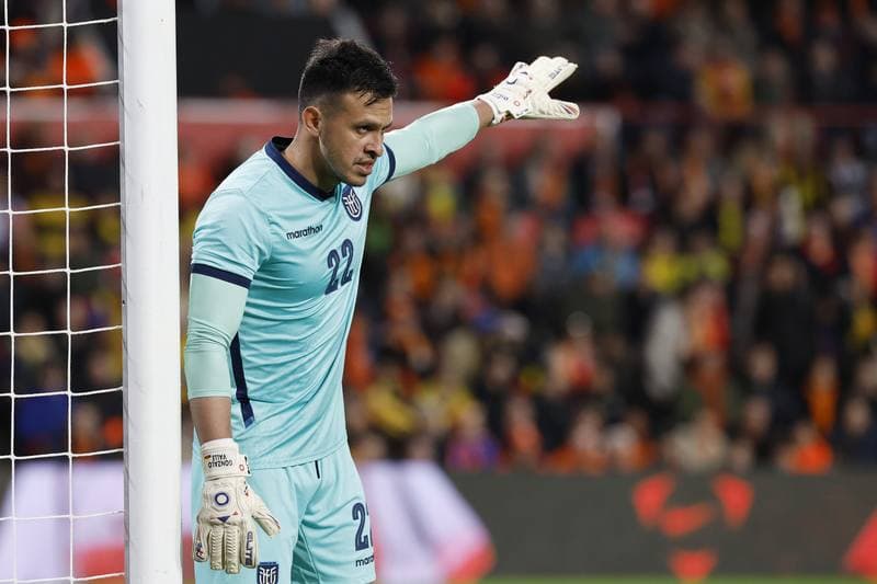 Football. International Friendly. Netherlands - Ecuador. 31.03.2026