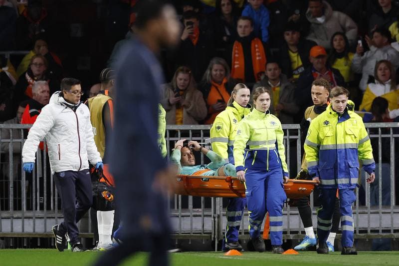 Football. International Friendly. Netherlands - Ecuador. 31.03.2026