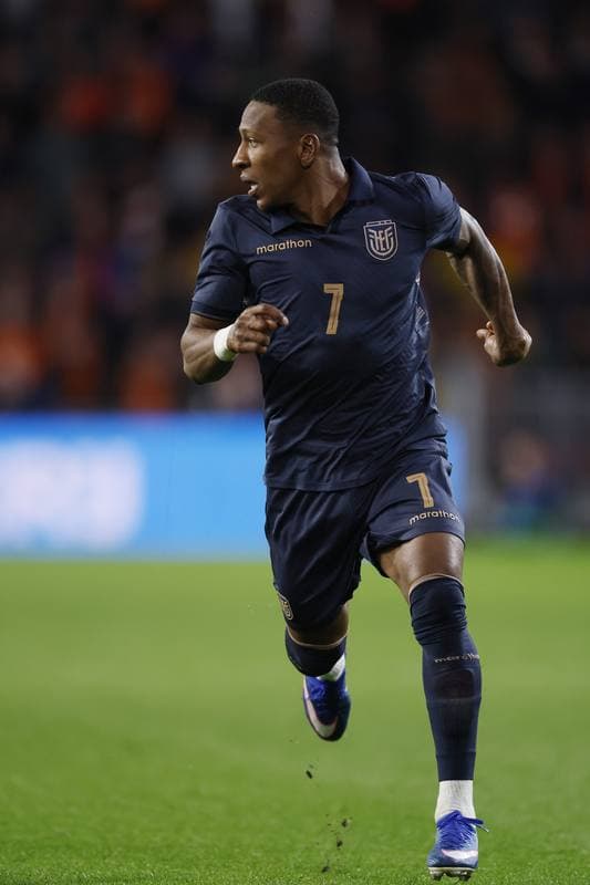Football. International Friendly. Netherlands - Ecuador. 31.03.2026