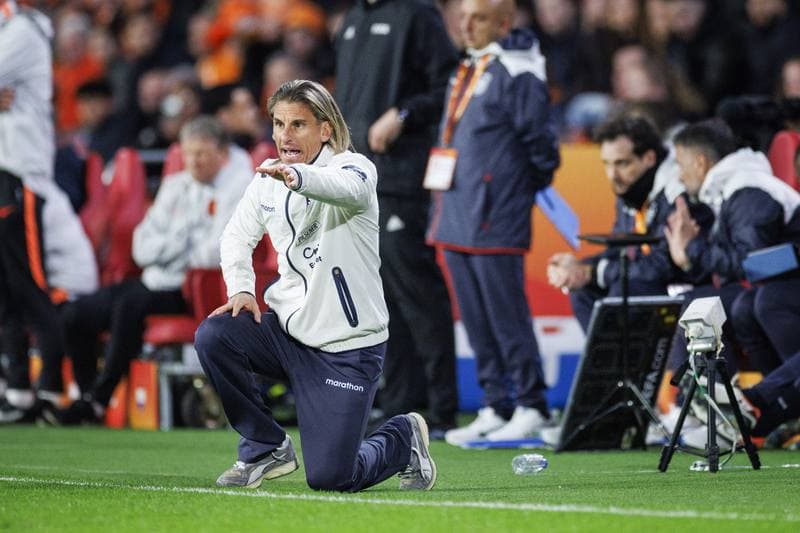 Football. International Friendly. Netherlands - Ecuador. 31.03.2026