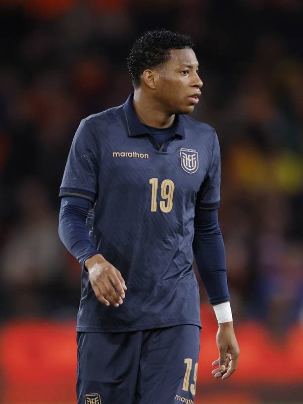 Football. International Friendly. Netherlands - Ecuador. 31.03.2026
