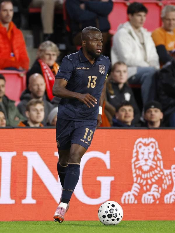 Football. International Friendly. Netherlands - Ecuador. 31.03.2026