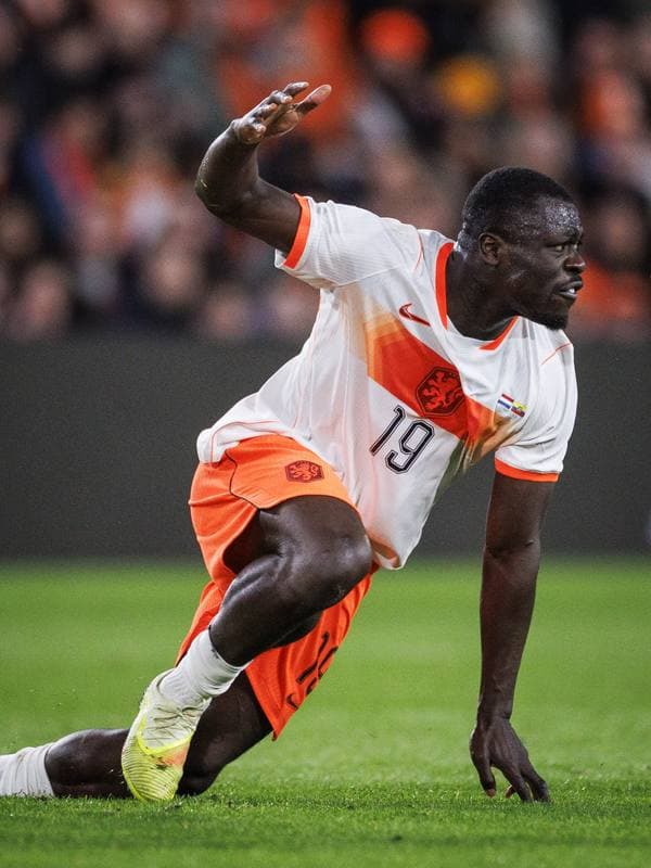 Football. International Friendly. Netherlands - Ecuador. 31.03.2026