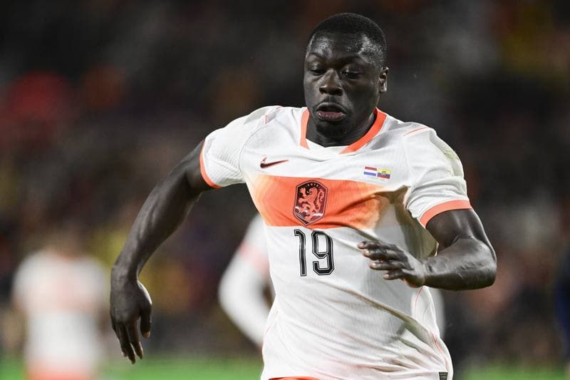 Football. International Friendly. Netherlands - Ecuador. 31.03.2026